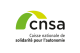 cnsa